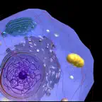 3D Virtual Cell iOS Icon