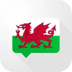 Welsh Verb Blitz iOS Icon