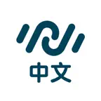 Immersive Chinese Icon