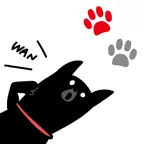 ExcoAR2 Icon