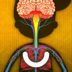 The Human Body: Learn Anatomy iOS Icon