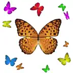 1001 Butterflies iOS Icon