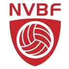Min Volleyball Icon