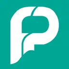 Festival Pro Icon