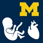 Fetal Heart Rate - SecondLook iOS Icon