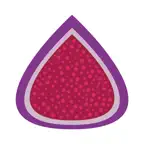 Figment Loyalty iOS Icon