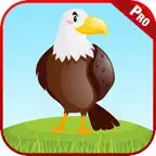 Birds Animal Sounds Kids Games iOS Icon