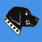 Montanari Fuel iOS Icon