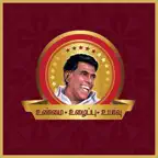 Saravana Digi Gold Icon