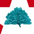 Roble iOS Icon