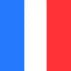 La Constitution Française Icon