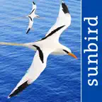 All Birds PR -> Antigua iOS Icon
