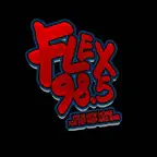 Flex 98 Radio iOS Icon