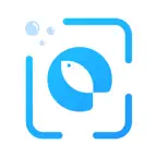 问鱼 iOS Icon