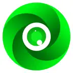 N1 iOS Icon