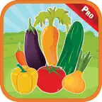 Vegetables Alphabet For Kids iOS Icon