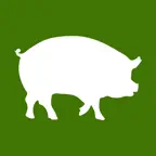 Budge Budgets and Spending iOS Icon