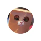 Broken Animals iOS Icon