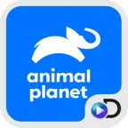 Animal Planet iOS Icon
