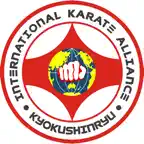 MyKyokushinRyu Icon