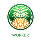 Cabeza De Pina iOS Icon