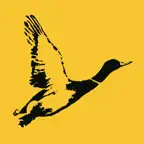 Sporting Club Icon