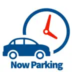 Now Parking iOS Icon
