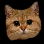 All Cats Stickers iOS Icon