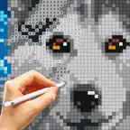 Cross-Stitch Masters iOS Icon
