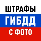 Штрафы ГИБДД: официальные ПДД iOS Icon