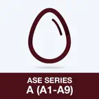 ASE Series A (A1-A9) Test iOS Icon