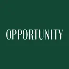 Opportunity Icon