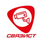 Связист. Видеонаблюдение iOS Icon