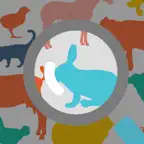 動物色彩 iOS Icon