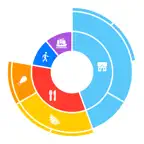 Sunburst Diagram icon