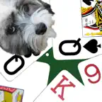 K9 Sheepshead: Schafkopf iOS Icon
