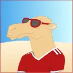 גמלים באדום iOS Icon