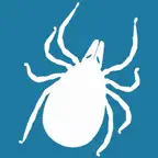 Climatick iOS Icon