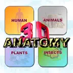 ANATOMY 3D Pro iOS Icon