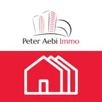 Aebi Immo Icon