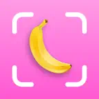 NannerScanner Icon