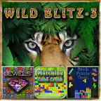 Wild Blitz 3 - Puzzle Games iOS Icon