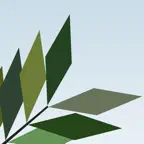 TreeSim iOS Icon