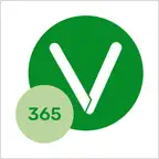 Visitas 365 Icon