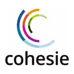 Cohesie Scholing iOS Icon
