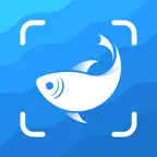 Picture Fish - Fish Identifier iOS Icon