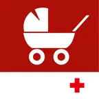 Babysitting SRK Icon