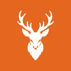 The Game ID iOS Icon