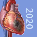 Physiology & Pathology iOS Icon