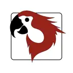 Pairot iOS Icon